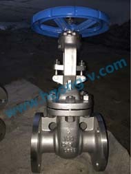 API6D stainless steel flange gate valve 